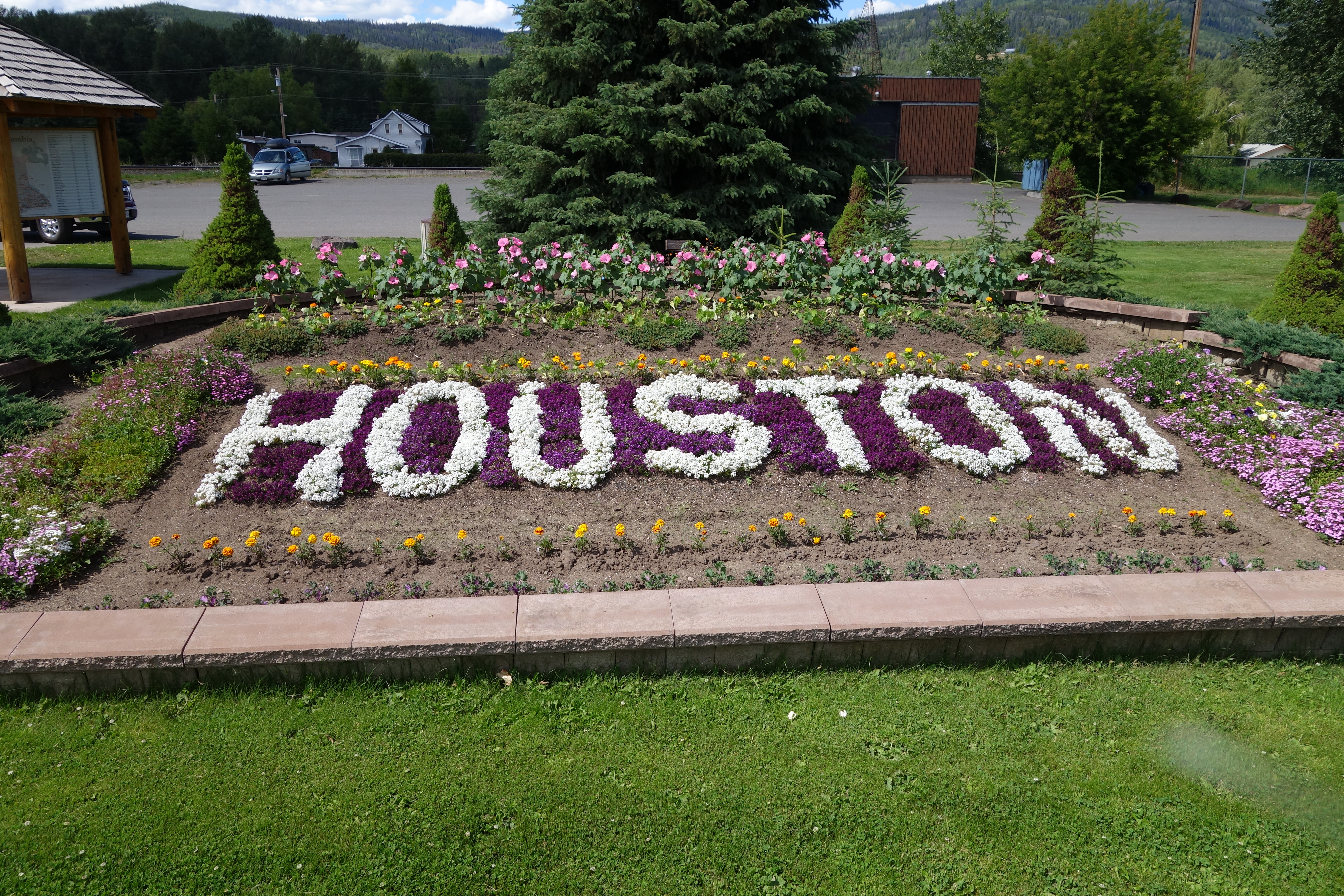 Houston flowers