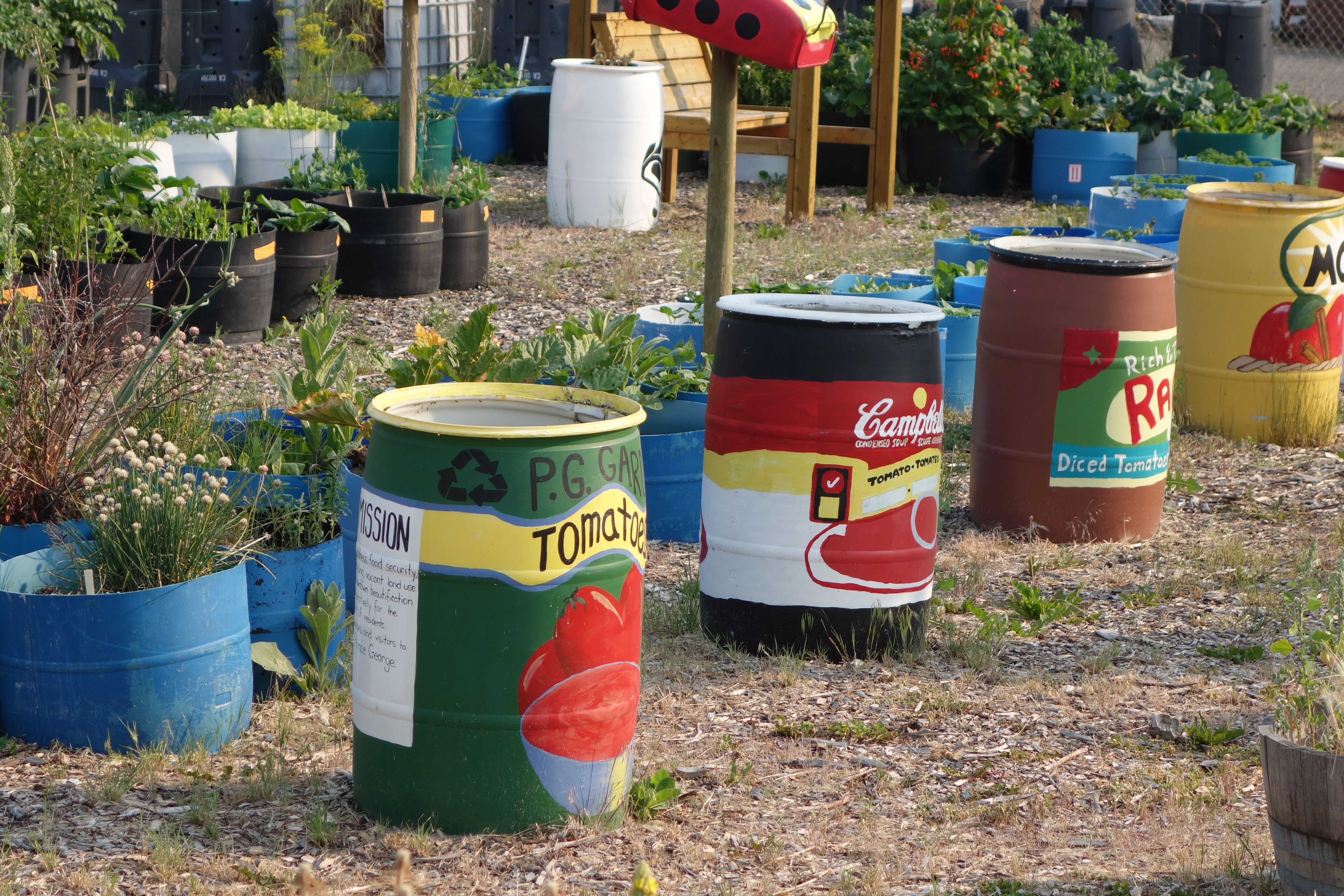 PG allotment