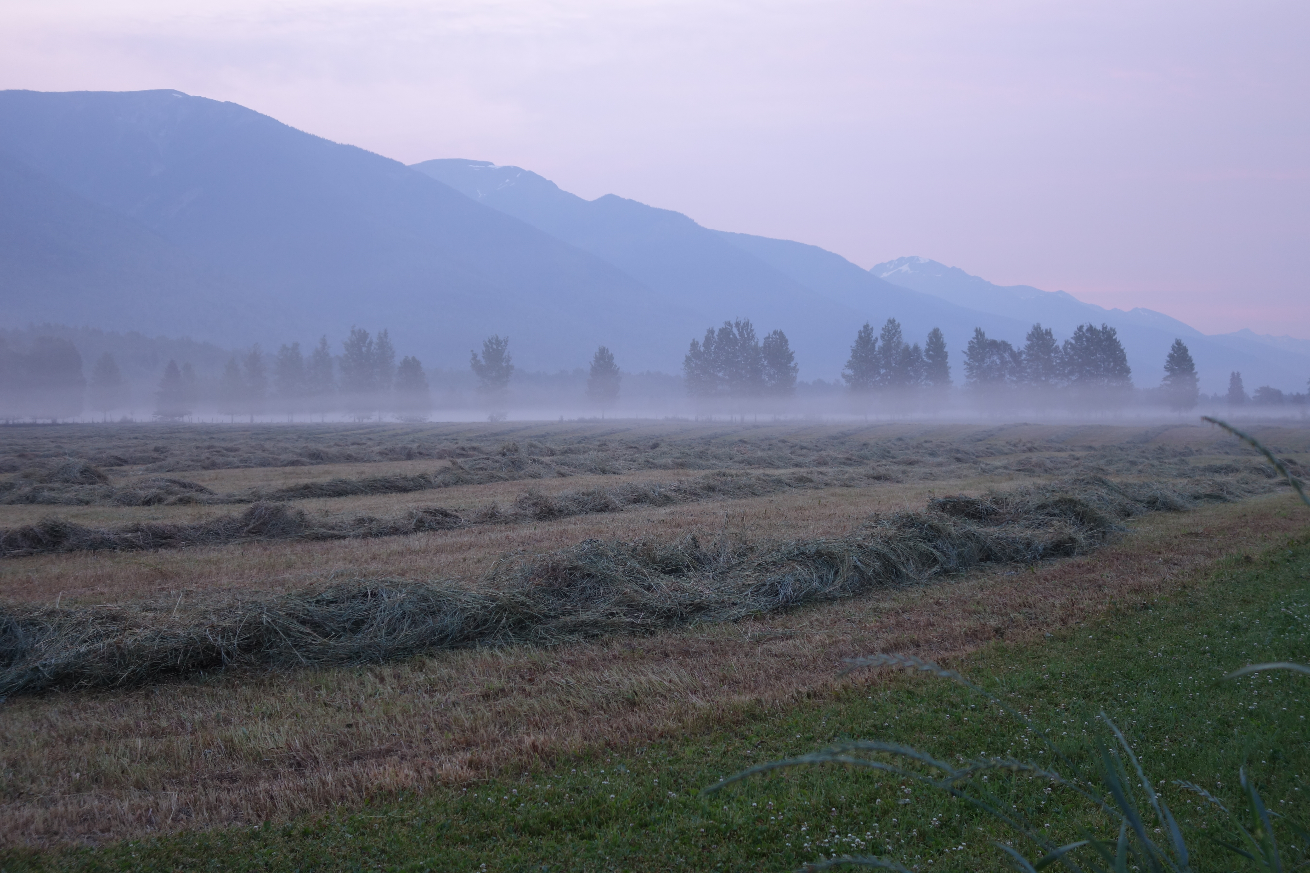 farm scenes