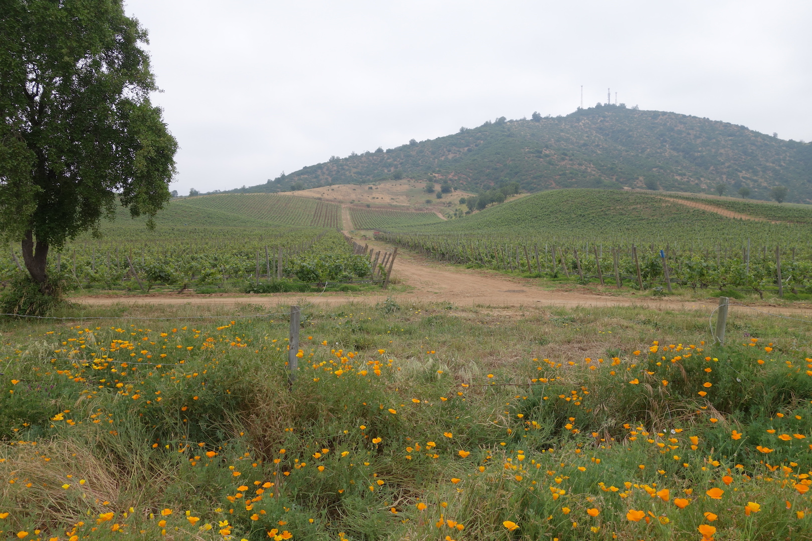 0069: Chile - Mortars and the Brick