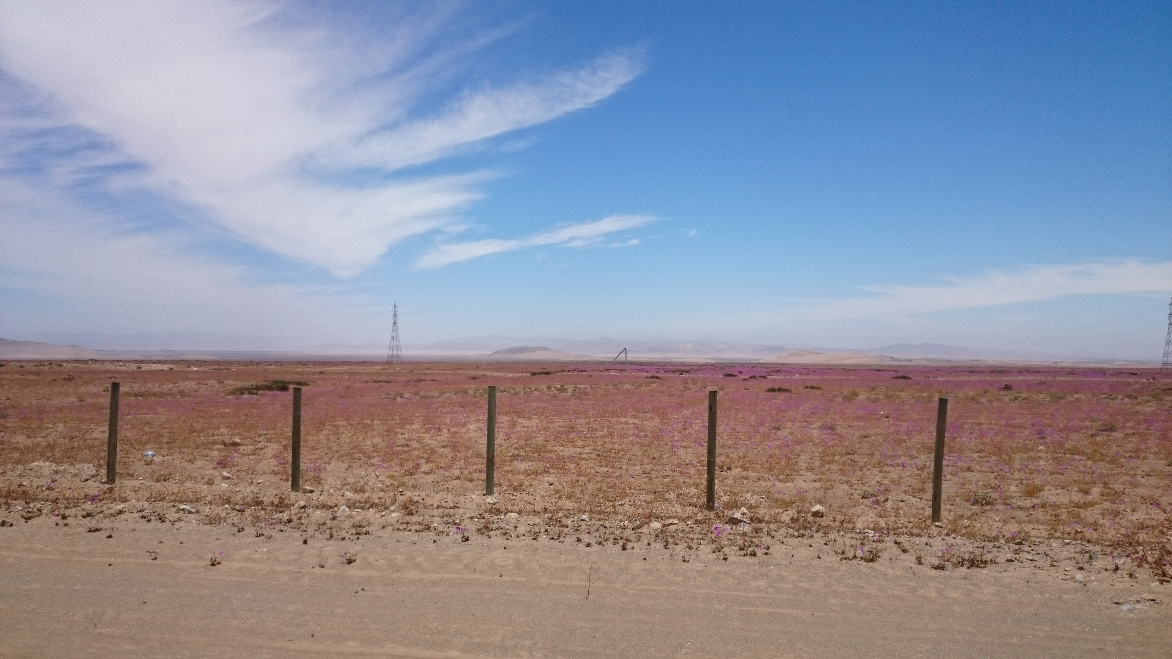 0069: Chile - Mortars and the Brick