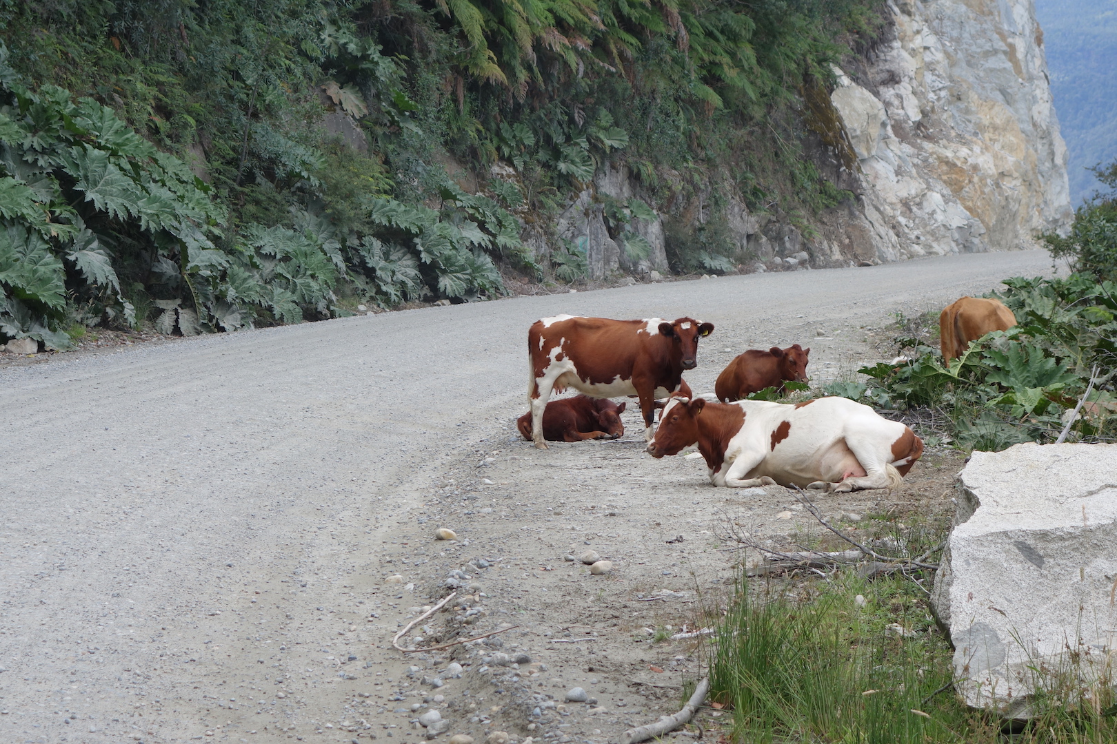 0073: Chile - The Carratera Austral